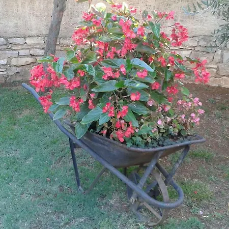 Zoe Appartamento *